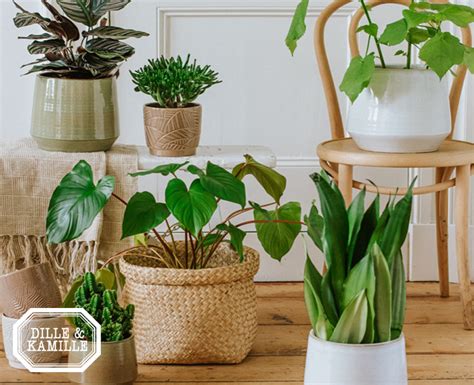 yourgreengift|your.